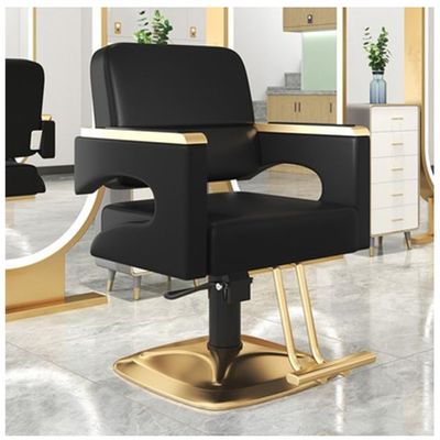 360 Barber Chair, Heavy Duty Hydraulic Salon Chair with Height Adjustable, Comfortable Backrest & Handrail, Waterproof Design Salon Equipment for Hair Stylist,Gold,B