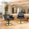 OmySalon All Purpose Salon Chair with Reclining Back, Stylist Chairs for Salon, Hydraulic Barber Chair Heavy Duty Hair Chair for Shampoo Makeup Threading Waxing view 2