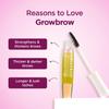 B.ella Vita Organic Growbrow - Eyelash, Lashes & Eyebrows Hair Growth & Volume Serum With Castor, Onion Oil & Vitamin E, 12 ML view 3