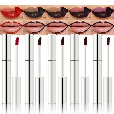 5Pcs Quick Drying Peel off Lip Liner Stain Set for Conturing Filling Lips, Maroon Plum Coral Dark Brown Chestnut Matte Lip Stain Peel off Lipstick, Lips Tattoo Makeup Not Faded no Transfer Lipgloss