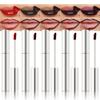 5Pcs Quick Drying Peel off Lip Liner Stain Set for Conturing Filling Lips, Maroon Plum Coral Dark Brown Chestnut Matte Lip Stain Peel off Lipstick, Lips Tattoo Makeup Not Faded no Transfer Lipgloss view 1