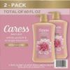 Caress Daily Silk Hydrating Body Wash, White Peach & Orange Blossom (30 fl. oz, 2 pk), Pink view 2