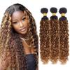 10 12 14 inch Honey Blonde Ombre Kinky Curly Bundles P4/27 Highlight Curly Wave Human Hair Bundles Chocolate Brown and Honey Blonde Track Mix Brazilian Human Hair Sew-In Extensions view 1
