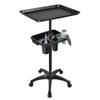 Rolling Salon Tray Cart with Extra Storage Space, Metal Salon Tray on Wheels, Adjustable Hairstylist Trays, Trays Trolley Cart for Salons Spa Tattoo Use view 1