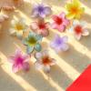 10-Pack Hair Claw Clips for Women  Large Strong Hold Hair Claws, Easy Grip Hair Accessories for Thick or Thin Hair, Stylish Everyday & Beach Hair Styling view 4