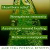 Aloe Vera Gel 100% Pure Natural Organic, no additives, chemicals, thickeners or water added. Just pure aloe vera (16 oz) view 4