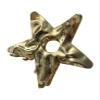 Concave and convex hollow five pointed star metal grip clip, cool and high-end, big star shark clip on the back of the head view 1
