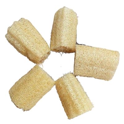 3Pcs Natural Loofah Sponge Multi-purpose Kitchen Cleaning Tool Dish Washing Sponge Long Shower Body Scrubber Loofah Dishcloth(10cm length)