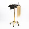 FUIBEJAE Salon Rolling Tray on Wheels with Adjustable Height Salon Station with Hairstylist Holder and Hair Separator Stand Spa Service Tray for Hair Stylist Tattoo & Dental Use,Gold