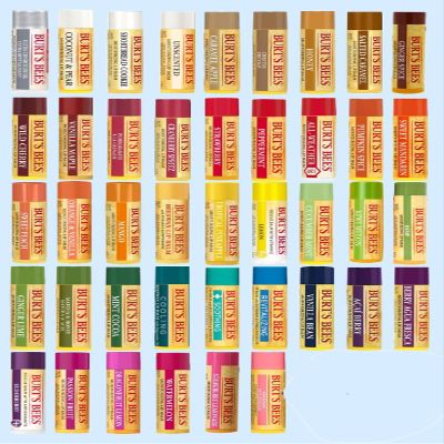 Burt's Bees 10 Count Lip Balm Variety Gift Pack -Stocking Stuffer - Assorted Flavors - Choosen at Random
