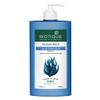 Bioti. Ocean Kelp Anti Hairfall Shampoo | Intensive Hair Growth Therapy| Anti Hairfall Shampoo that Maintains Shine |100% Botanical Extracts | Suitable for All Hair Types |650ml view 3