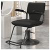 Barber Chair, Heavy Duty Salon Chair with Hydraulic Pump, 360 Swivel Height Adjustable Spa Beauty Chair for Hair Stylist,Spa, Beauty Shop,Black,A view 1