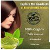 100% Original Bharangraj Eclipta Alba Powder - 3.52Ounce / 100grm - Karisalankanni Bhringraj Powder (Pack of 1) view 2