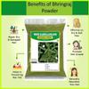 100% Original Bharangraj Eclipta Alba Powder - 3.52Ounce / 100grm - Karisalankanni Bhringraj Powder (Pack of 1) view 3