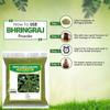 100% Original Bharangraj Eclipta Alba Powder - 3.52Ounce / 100grm - Karisalankanni Bhringraj Powder (Pack of 1) view 4