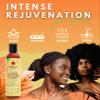 Aloe Vera Shampoo  5x HAIR GRO Cleansing Moisturizing Shampoo 8oz Bundle  Hydrating Hair and Scalp Cleanser with Jamaican Black Castor Oil and Plant-Based Boosters  Gift Set (5 Items) view 4