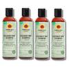 4x Hair Gro Rosemary Mint Shampoo 8oz by Tropical Isle Living  Gently Cleanses, Repairs and Nourishes with Mint, Aloe Vera & Shea Oil for All Hair Types  Gift Set (5 Items) view 1