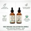 3x 1992 Organic Castor Oil Glass Bottle 2oz Bundle with Extra Virgin Olive Oil 2oz  Pressed, Organic & Versatile for Hair, Skin, Nails  Nourishes, Supports Daily Beauty Routine  Gift Set (4 Items) view 3