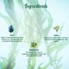 Bioti. Ocean Kelp Anti Hairfall Shampoo | Intensive Hair Growth Therapy| Anti Hairfall Shampoo that Maintains Shine |100% Botanical Extracts | Suitable for All Hair Types |500ml view 3