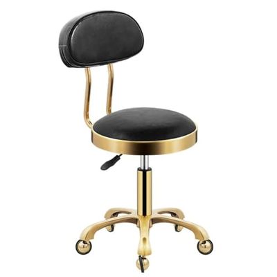 Adjustable Rolling Stool with Back Rest  Comfortable Swivel Stool on Wheels, Heavy-Duty Hydraulic Metal Chair for Salon, Massage, Clinic, Bar, Office Use