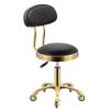 Adjustable Rolling Stool with Back Rest  Comfortable Swivel Stool on Wheels, Heavy-Duty Hydraulic Metal Chair for Salon, Massage, Clinic, Bar, Office Use view 1