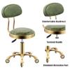 Adjustable Rolling Stool with Back Rest  Comfortable Swivel Stool on Wheels, Heavy-Duty Hydraulic Metal Chair for Salon, Massage, Clinic, Bar, Office Use view 3
