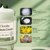 Total Soothe Magnesium Cream with MSM & Arnica  Fast Absorbing Non-Greasy Magnesium Lotion for Muscle & Joint Comfort, Vitamin B6 Mineral Delivery Formula, 4oz view 3