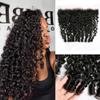mianduan 13x4 Burmese Curly Frontal 100% Real Human Hair Water Wave 13x4 Frontal Burmese Curly Hair Transparent HD Lace Closure Natural Black 1B Color 14 Inch view 1