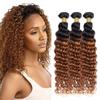 1B30 Ombre Brown Bundles Human Hair Deep Wave 3 Bundles 22 24 26 Inch Unprocessed Virgin Brown Loose Deep Curly Bundle Human Hair Extensions view 1