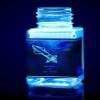 18ml Secrets in the light' invisible ink glows under UV light. free hand demon pattern on face, arms, legs. view 1