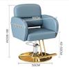 Barber Chair, 440 Lbs Capacity Heavy Duty Salon Chair with Hydraulic Pump, 360 Swivel Height Adjustable Spa Beauty Chair for Hair Stylist,Spa, Beauty Shop,White,B view 3