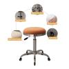 JYPIINFS Saddle Chair Stool Rolling Work Chair, 360 Swivel 5 Casters Salon Office Adjustable, for Salon, Spa, Beauty Massage, Dental Clinic(Color 3) view 3