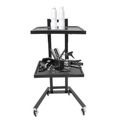 2-Tier Salon Trolley with Wheels, Durable Storage for Hairdressing Tools