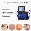 14 in 1 Hydrogen Oxygen Facial Machine Hydrodermabrasion Device Face Skin Care Machine for Home Beauty Salon view 3