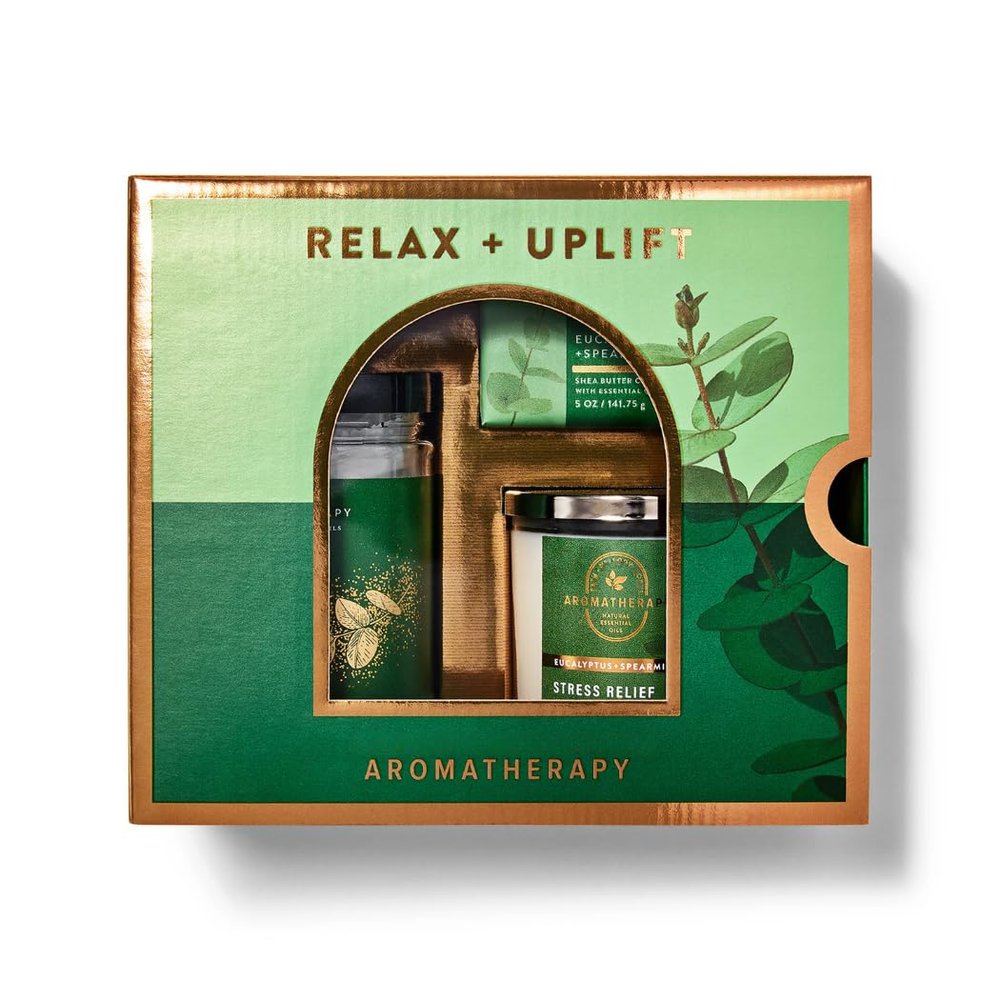 Bath and Body 3-Piece Eucalyptus Spearmint Aromatherapy Gift Box Set - Single Wick Candle, Shea Butter Cleansing Bar, Shower Steamers - Arranged in Decorative Gift Box