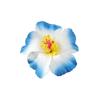 Bohemia Small Hair Clip Women Beach Vacation Tulip Flower Hair Clips Flower Duckbill Barrettes Hairpin Summer Girls(18E) view 1
