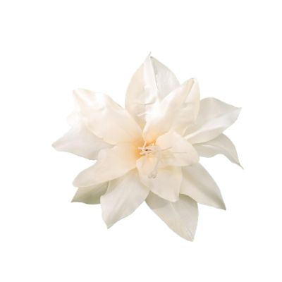 Bohemia Small Hair Clip Women Beach Vacation Tulip Flower Hair Clips Flower Duckbill Barrettes Hairpin Summer Girls(42C)