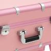 BGSHKAL Rolling Makeup Train Case, Professional Cosmetic Trolley Rolling Makeup Case Built-In Retractable Tripod 110.23 Lbs Capacity Makeup Brush Holder 8 Adjustable Brightness LED Lights view 4