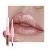evpct Nude Gold Metallic Glitter Lip Liner and Lipstick Combo Lip Gloss Stain Set Makeup for Women Long Lasting Waterproof 24, Non Stick Cup Metal Shine Shiny Shimmer Iridescent Liquid Lipstick 27 view 1