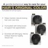 Arom-atique Anti Grey Hair Oil | Herbal Blend with Coconut, Black Seed, Castor, Argan, Apricot, Almond, Grapeseed, Jojoba, Sesame, Henna, Indigo, Amla, Methi, Curry Leaves & Hibiscus | view 4