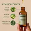 Banyan Botanicals Hair Serum  Ayurvedic Herbal Oil for Scalp Care & Healthy Hair Growth  with Organic Amla, Rosemary & Castor Oil  2 fl oz  Vegan Non-GMO Sustainably Sourced view 4