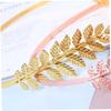 1PC Gold Leaf Headband Metal Greek Goddess Accessories Greek Headband Gold Leaf Crown for Women Party Wedding.. view 2