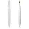2 Pack Retractable Lipstick Brush, Lip Brush for Lipstick Lip Liner Pencil Brushes Flat Lips Balm Applicator Travel Lipliner Brushes for Lipsticks, LipGloss, Eyeshadow Travel view 1