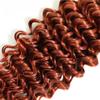 Fridnae Color 33 Auburn Bundle Copper Deep Curly Human Hair Bundles 34 Inch view 4