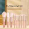 10PC mini makeup brush set, equipped with mini makeup brush bag powder blusher and paint, portable beauty tools view 3