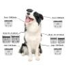 Animal Clippers4F, 5F, 7F 9#, 10#, 30#, 40#, 50# Pet Dog Hair Trimmer Steel Blade For MostCompatible For OSTERA5 & 76Compatible For Wahl(Size 30-0.5mm) view 4