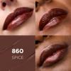 L'Oreal Paris Makeup Colour Riche Original Creamy, Hydrating Satin Lipstick, 860 Spice,1 Count (Pack of 2) view 2