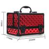 PNAWLLCF Cosmetic Case Professional Portable Two-layer Aluminum Suitcase Insert Storage Nail Box view 2