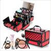 PNAWLLCF Cosmetic Case Professional Portable Two-layer Aluminum Suitcase Insert Storage Nail Box view 3