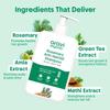 Ar.av.i Organic Rosemary Anti-Hairfall Shampoo and Conditioner Set, Natural DHT Blocker with Hibiscus and Reetha, Sulfate-Free Hair Growth Formula, 200ml Each, 2-Pack view 3